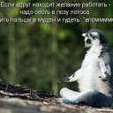 ���� Oleg, Delmas, 35 ��� - ��������� 19 ������ 2023 � ������ ���� ����������