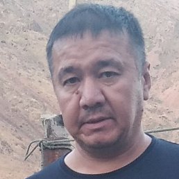 �����, �������, 44 ����