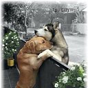  Anneta,  -  28  2023    