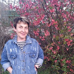 ���� ����, ����, 51 ��� - ��������� 10 ����� 2023