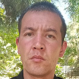 �������, �����, 32 ����