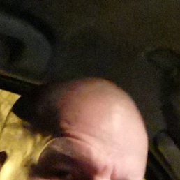 ��������, �������, 44 ����