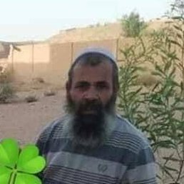 �����, ������, 38 ���