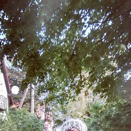 ��������, �����������, 26 ���