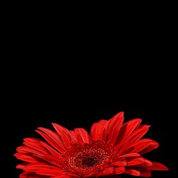 ���� �����, ���������, 77 ��� - ��������� 22 ���� 2023