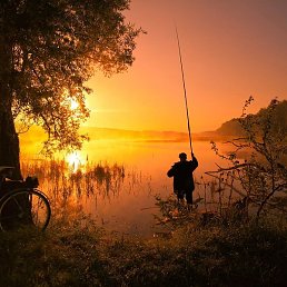 ���, ����������, 35 ���