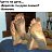 ���� Harrison, ������, 55 ��� - ��������� 1 ������� 2023