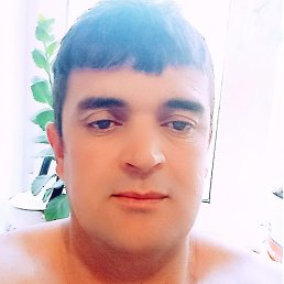 �����, ������, 44 ����