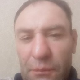 ���������, ��������, 49 ���