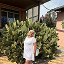 ���� �����, ����-�����������, 51 ��� - ��������� 5 ������� 2023 � ������ ���� ����������