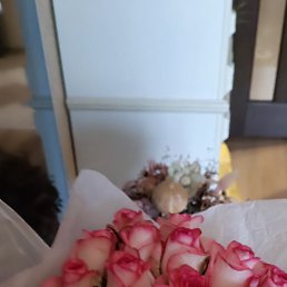 �����, �����, 50 ���