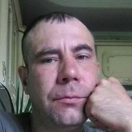 �������, ����, 41 ���