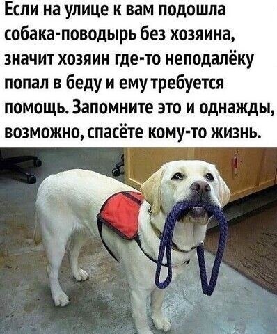  ! 