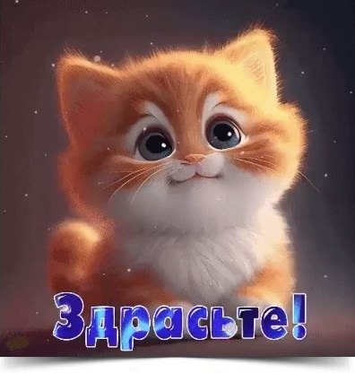>^..^<