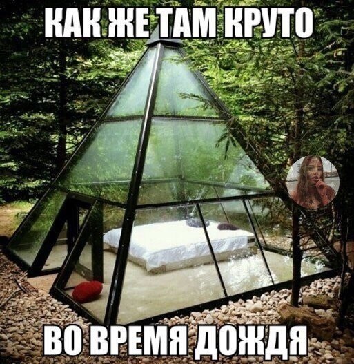 �����? ��, �� �������! - 15 �������� 2023 � 15:26