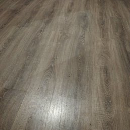 ���� ����, ������, 32 ���� - ��������� 19 �������� 2023