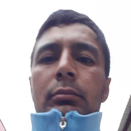 ������, ������, 37 ���