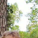 ���� �������, �����-���������, 59 ��� - ��������� 21 ��� 2023 � ������ ���� ����������