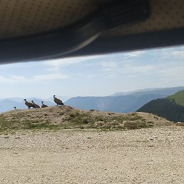 �������, ������, 36 ���