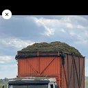 ���� �����, ������, 41 ��� - ��������� 15 ������� 2023