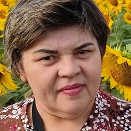 �������, ������, 54 ����