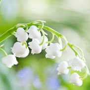 Натали, , Санкт-Петербург Натали, , Санкт-Петербург