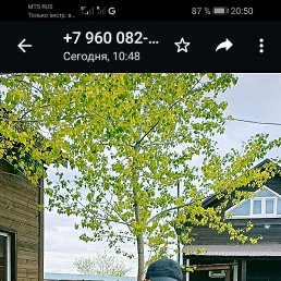 ������, ������, 55 ���