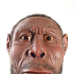 ������, ���������, 55 ���