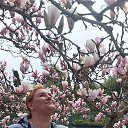 ���� ������, ������, 46 ��� - ��������� 19 ����� 2023 � ������ ���� ����������