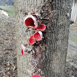 ���� ������, �����, 57 ��� - ��������� 21 ������ 2023