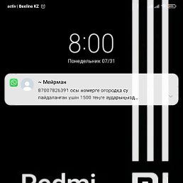 �����, ������, 20 ���