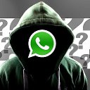 ���� ������, ������, 37 ��� - ��������� 15 ������ 2023 � ������ ���� ����������