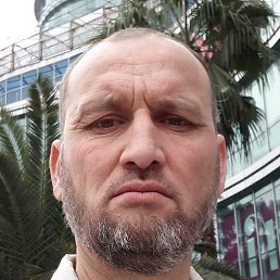 ������, ���������, 46 ���