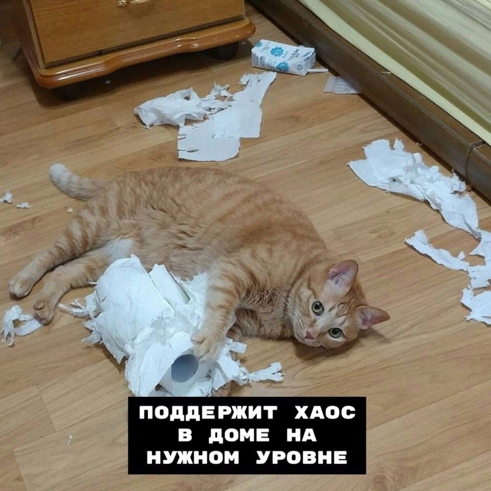   ,    ...