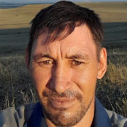 �����, �������, 42 ����