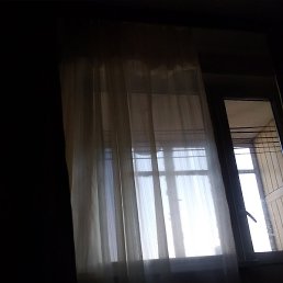 ����, ������, 40 ���