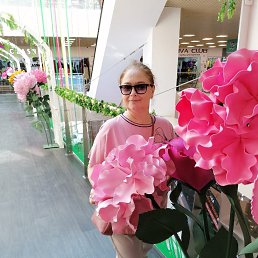 ���� �������, ������, 56 ��� - ��������� 14 ����� 2023