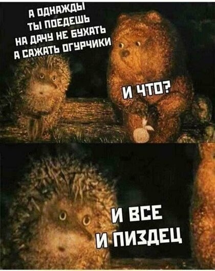 �������� - 5 ���� 2023 � 06:47
