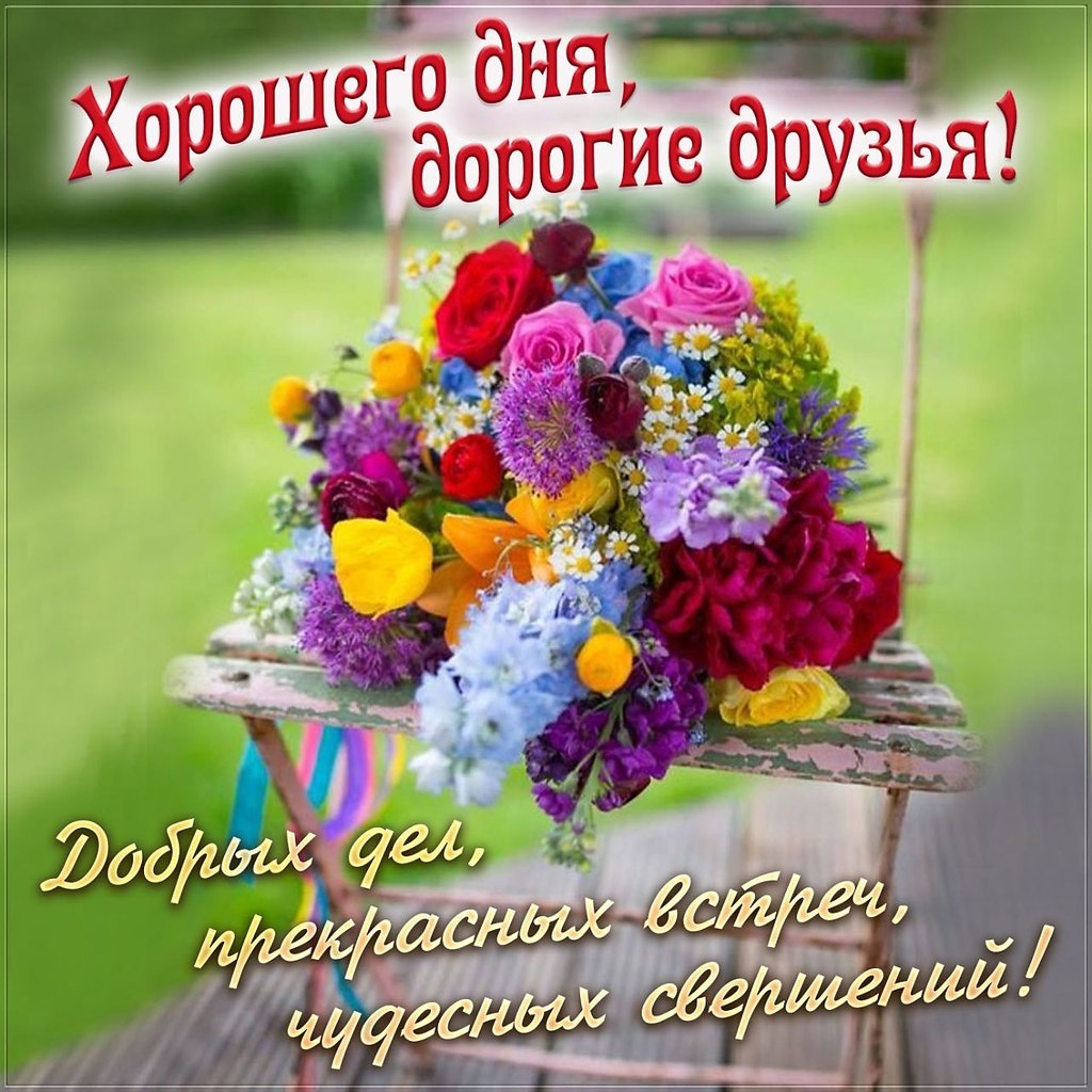   ,    . - 26  2023  17:16 - 10