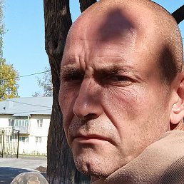 ������, ������, 40 ���