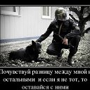 ���� ����, ����������, 43 ���� - ��������� 24 ����� 2023 � ������ ���� ����������