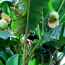 ���� ����, ����� - ��������� 29 �������� 2023 � ������ ���������� ������