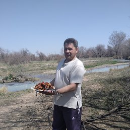 ���� ��, ������, 52 ���� - ��������� 2 �������� 2023