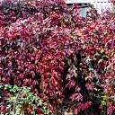 ���� ��������, �����������, 59 ��� - ��������� 30 �������� 2023 � ������ �������