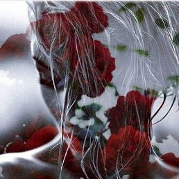 ���� �����, �������, 74 ���� - ��������� 24 ���� 2023