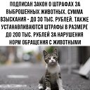  ,  -  23  2023    