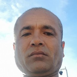 ����������, ����-��, 44 ����