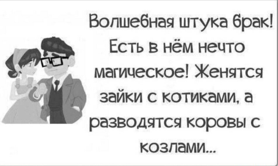 Статус женюсь. Брак смешные высказывания. Смешные фразы про брак. Смешные цитаты про брак. Смешные афоризмы про брак.