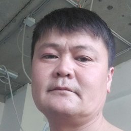 ����, ������, 41 ���