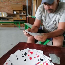 , , 44 